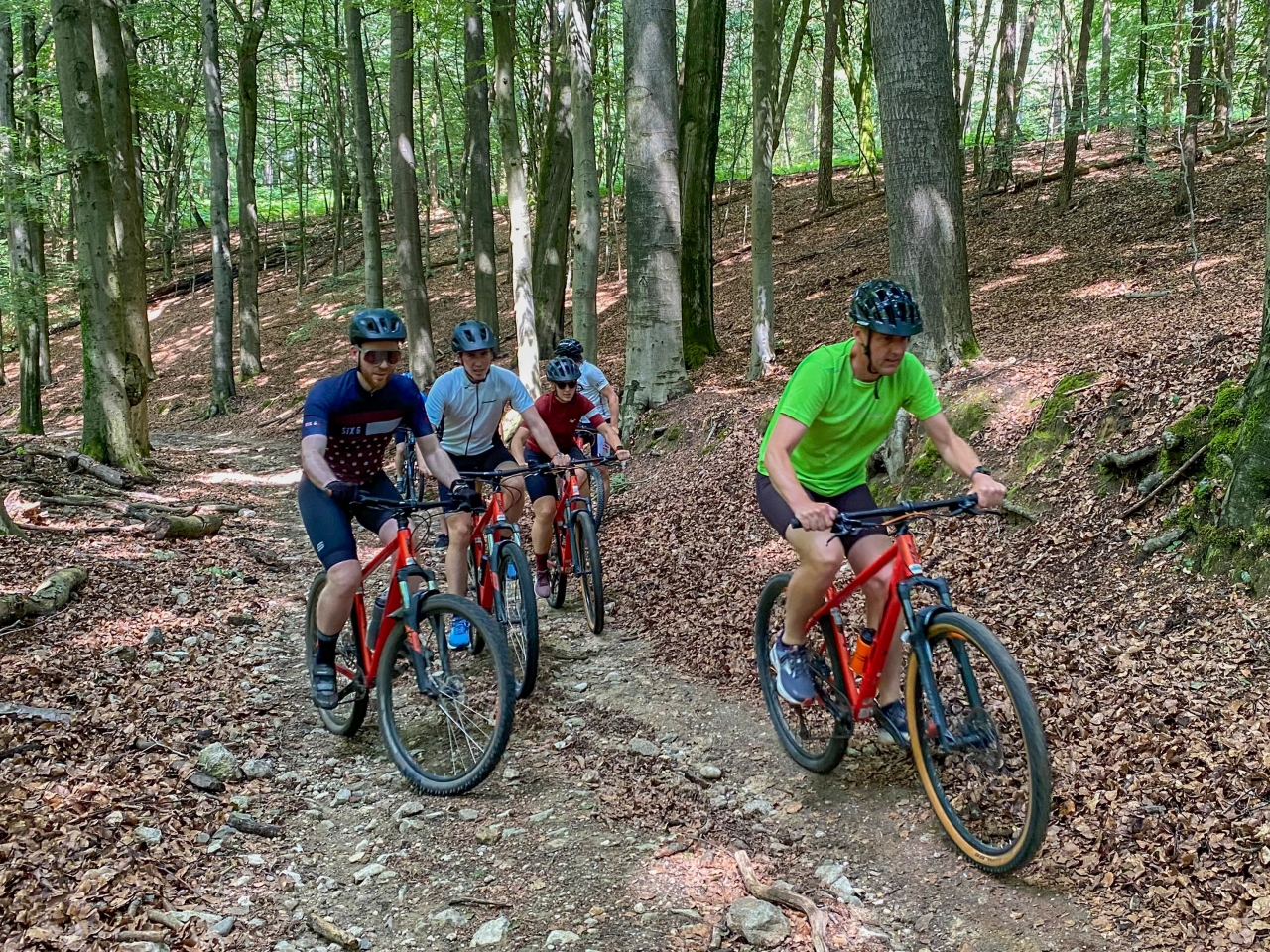 Het bos in tijdens nationaal fietscongres